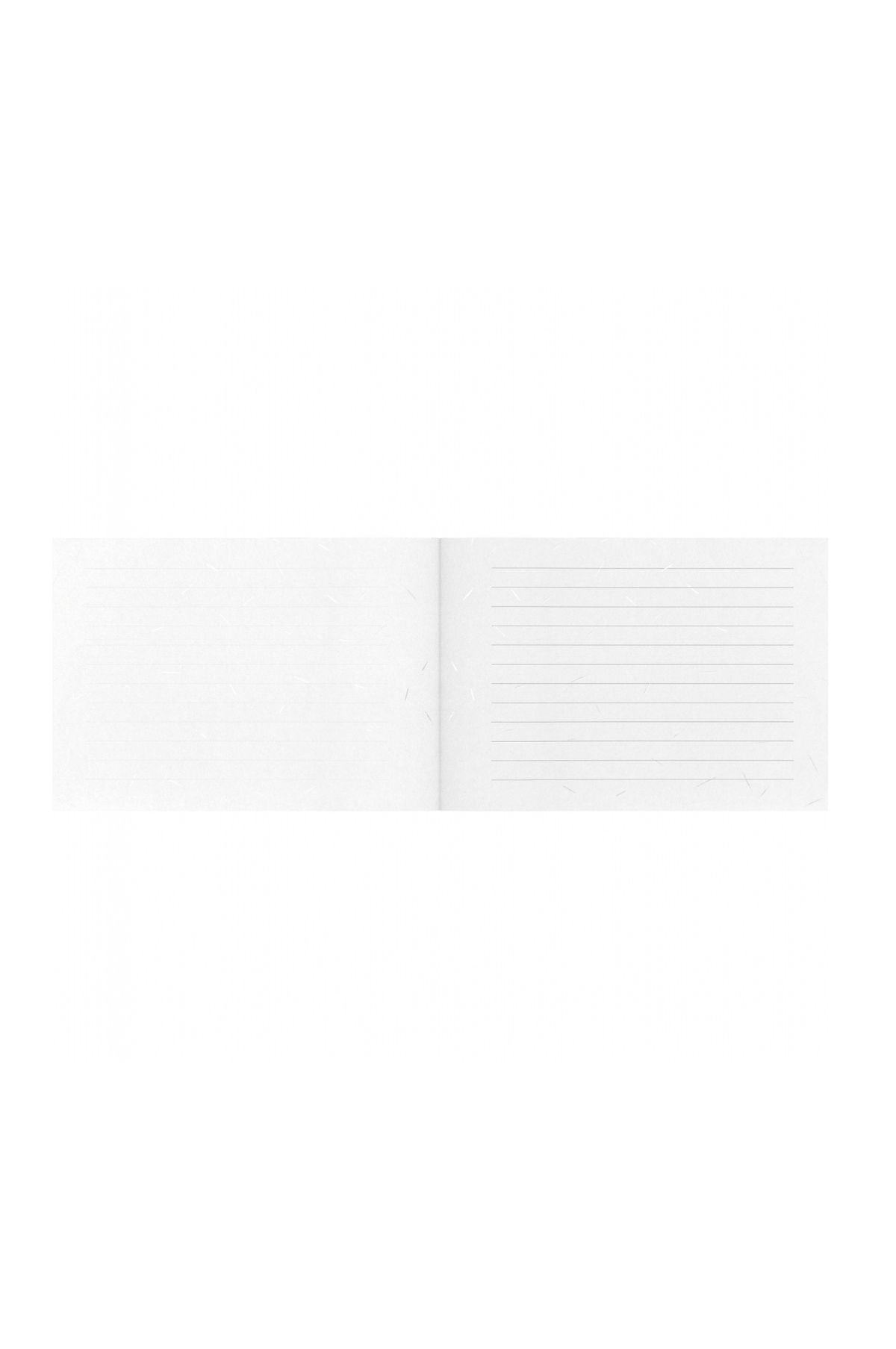 Life Paper Life - Silver Flower Letter Paper Pad B5 | Lined 30 pages