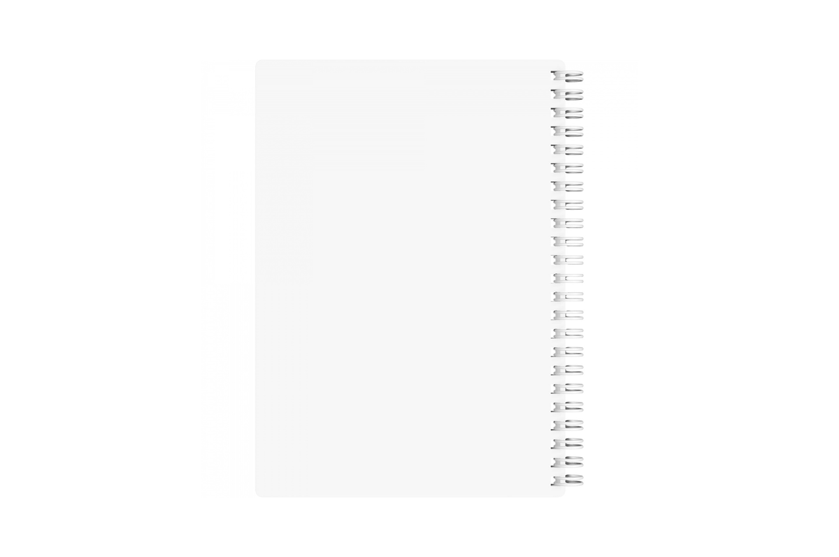 Maruman Paper Maruman - Mnemosyne 295 White A5 Softcover Notebook | Lined 160 pages