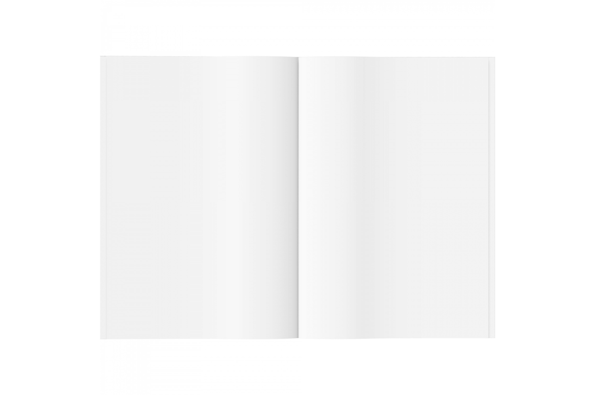 Tomoe River Paper Tomoe River - B6 White Plain Notebook | 160 pages