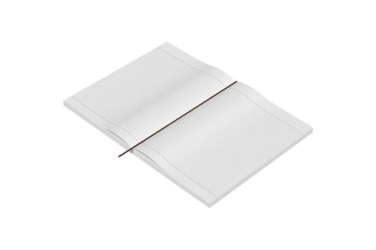 Tsubame Paper Tsubame - B5 Notebook  | Extra Thick - White Lined | 400 pages